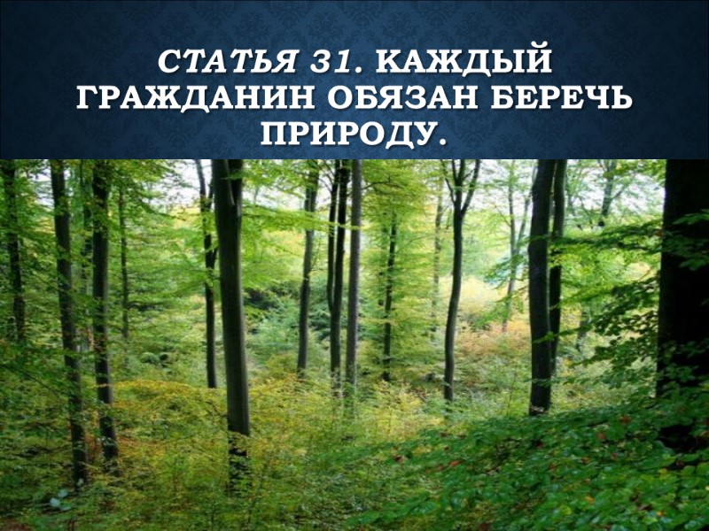 Статья 31. Каждый гражданин обязан беречь природу.